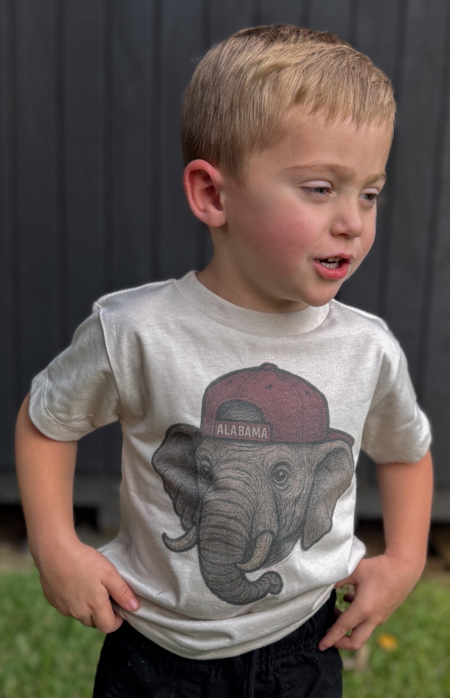 Alabama Vintage Elephant Head